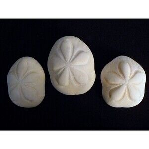 Two Natural Toy SeaBiscuits figures 4 - 5" beach decor wedding coastal living